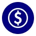 Money Icon