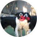 Char Davis profile picture